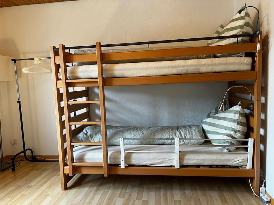Charmante Und Zentrale Wohnung Am Weiherpark Арбон Екстер'єр фото