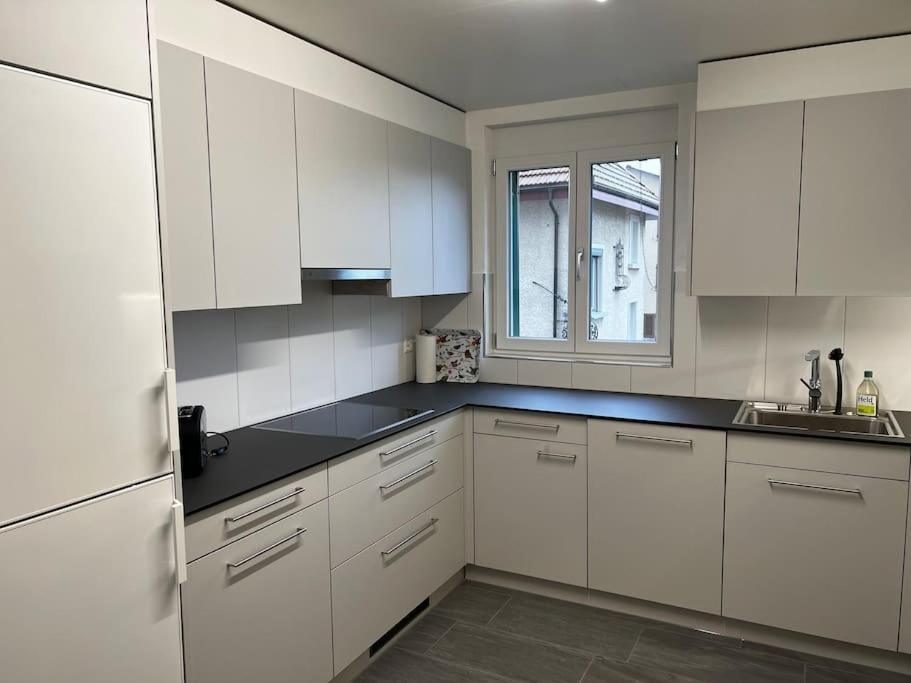 Charmante Und Zentrale Wohnung Am Weiherpark Арбон Екстер'єр фото